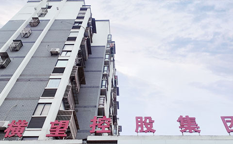 獻(xiàn)策“十四五”規(guī)劃編制，助力橫望集團(tuán)高質(zhì)量發(fā)展