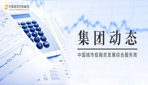 集團(tuán)動(dòng)態(tài)丨協(xié)同國企展擔(dān)當(dāng)，引領(lǐng)全區(qū)向未來——城望集團(tuán)助力博政集團(tuán)內(nèi)部管控提質(zhì)增效