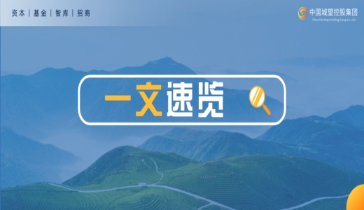 收藏！2025年上半年城投化債 、融資十大政策和事件梳理
